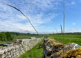 伯德罗斯瓦尔德罗马堡垒