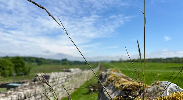 伯德罗斯瓦尔德罗马堡垒