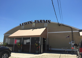 Lewin Farms