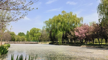 GoDay Park浐灞自然营地