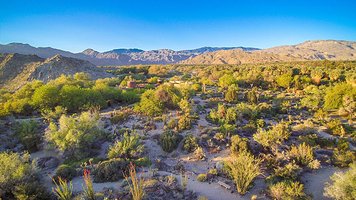 拉斯维加斯棕榈泉