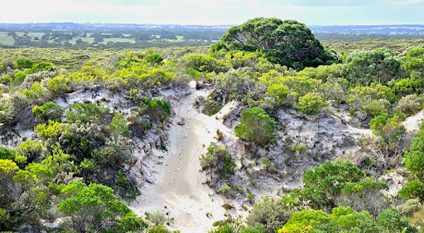 Little Sahara Adventure Centre
