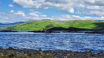 Quarry View Garden Centre