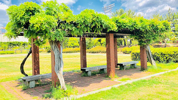 明石海浜公園 こども広場