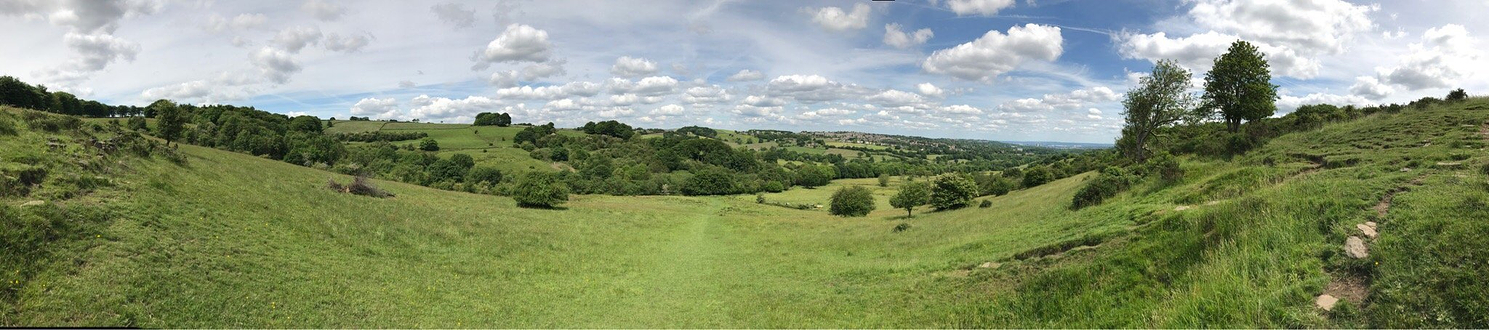 梅菲尔德羊驼馆