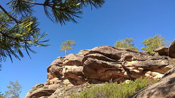 Karkaraly National Park