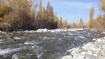 Пейнтбол-клуб 