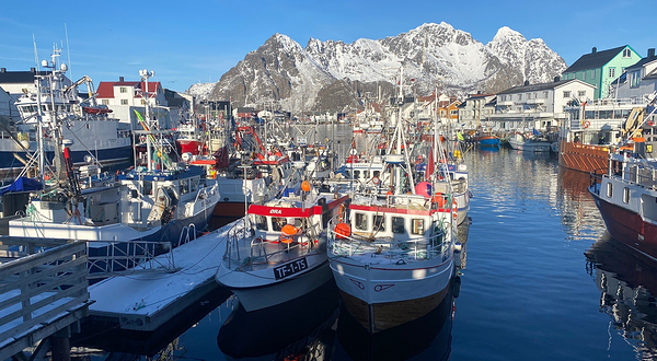Henningsvær Port Viewpoint