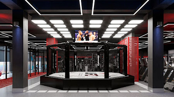 UFC Gym
