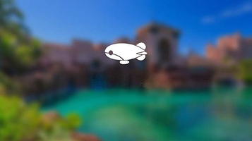 世纪方舟水上运动俱乐部