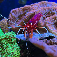 Loebbecke-Museum und Aquazoo