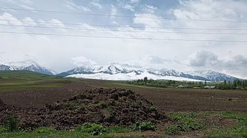 Zyndan Culture House