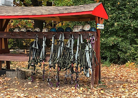 Treetop Trekking Brampton