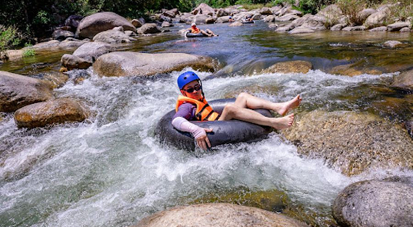 Kong Forest Adventure Park Official - Công viên thám hiểm Kong Forest