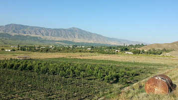 Arapbay Imamovdun Bagy