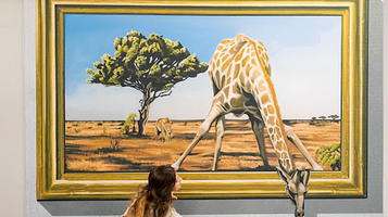 3D Fun Art Museum Porto