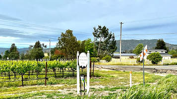 Windows XP 'Bliss' Hill