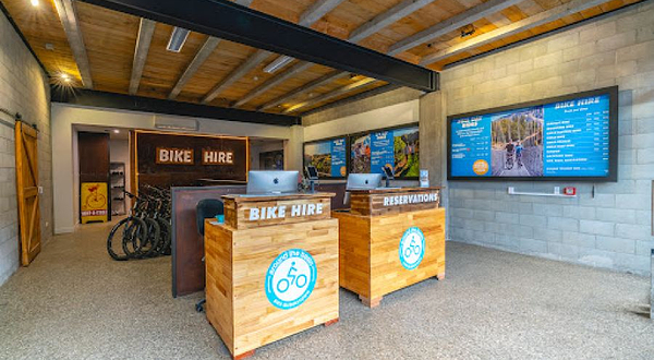 皇后镇山地自行车体验