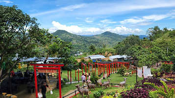 Sachiko's Little Kyoto