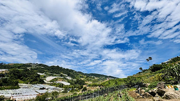 Jim’s Vegetable Farm