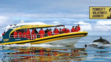 Pennicott Wilderness Journeys