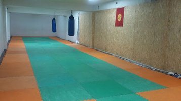 Спортивный Клуб «Арстан» По Олимпийскому Виду Спорта ТАЭКНВОНДО WTF