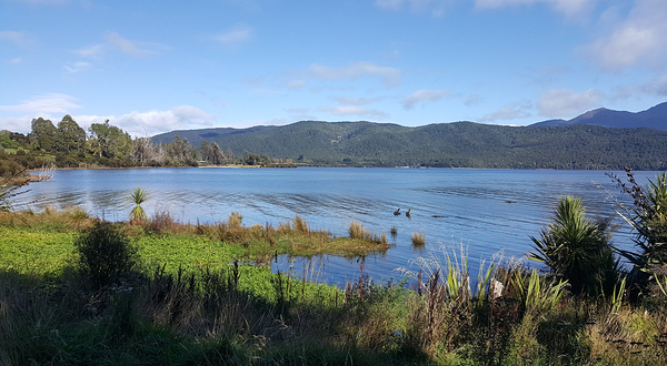 蒂阿瑙鸟类保护基地