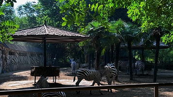 郑州野生动物园