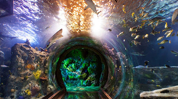 SEA LIFE Grapevine Aquarium