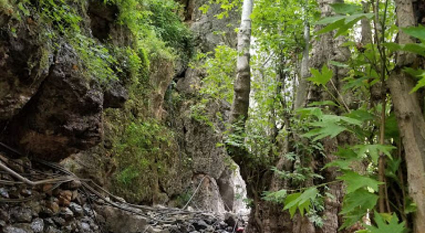 Parki Magmurud Sharshara Dar Daruni Kukh