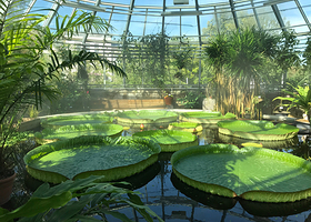 乌普萨拉植物园