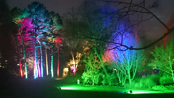 法兰克福棕榈园