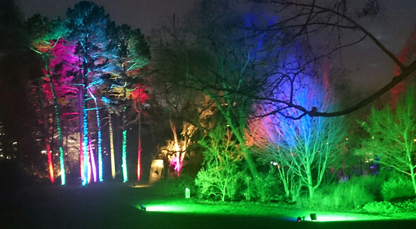 法兰克福棕榈园