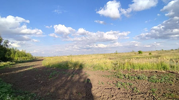 Park of the Birches - Парк Берёз