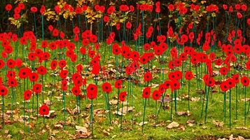 Coldstream War Memorial and Gardens