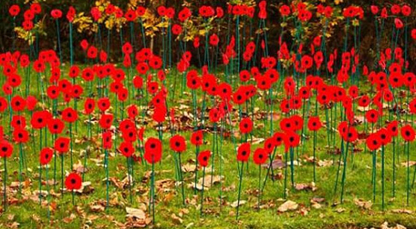 Coldstream War Memorial and Gardens