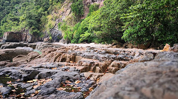 Taman Negara Talang Satang