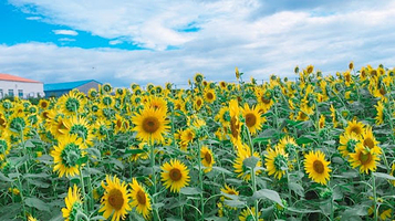 JR日本最南端车站纪念碑