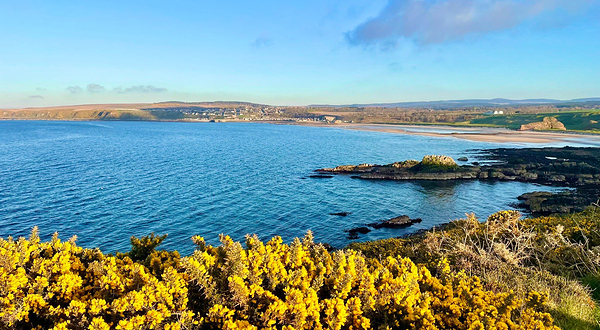 Portknockie Cliffs Path