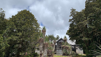 Weindorfers Forest Walk, Cradle Mountain