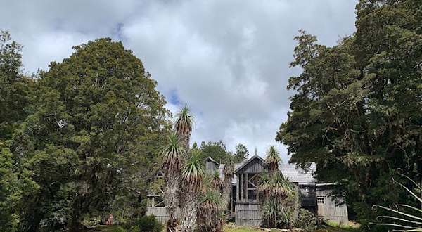 Weindorfers Forest Walk, Cradle Mountain