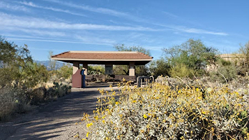 Saguaro National Park East Side