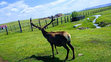 Karkaraly National Park Nature Museum