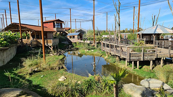 鹦鹉世界- 沉浸式动物公园