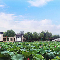 马鞍山春盛生态园