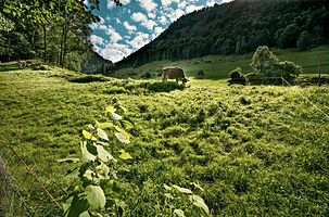 恩特勒布赫教科文生物圈公园