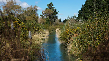 Rakaia river