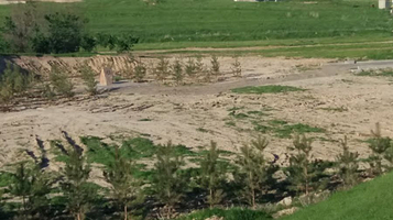 Park Imeni Yuusf Emre