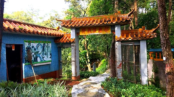 彩弹野战俱乐部