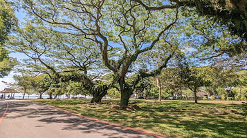 樟宜尾海滨公园